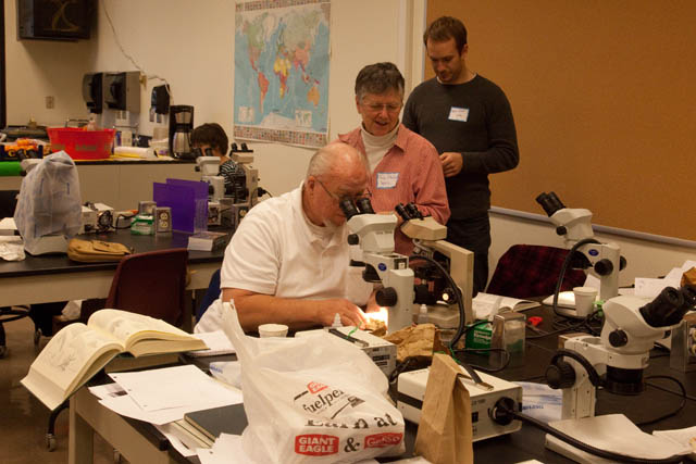OMLA workshop lichens