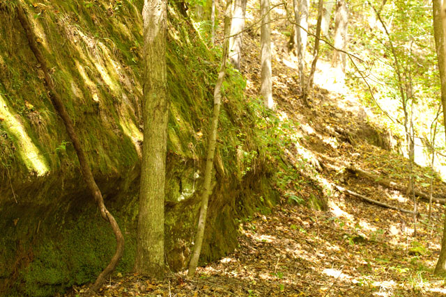 sandstone-cliff-OMLA-Shade-