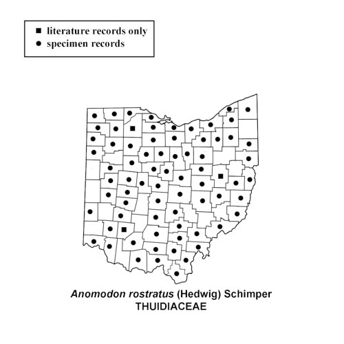 Anomodon-rostratus-simplemap