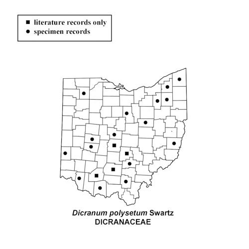 Dicranum-polysetum-simplemap
